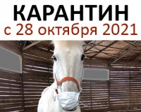 Режим работы конного магазина HorseLife с 28 октября 2021